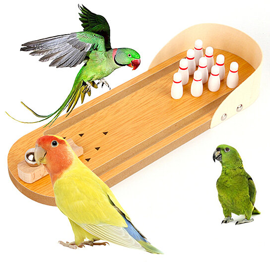 bird bowling toy