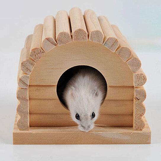 Durable Splitted Wooden Squirrel Hamster House Cabin Toy Pet Supply by Munchen on Dot & Bo