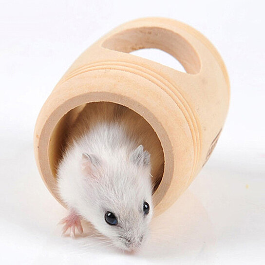 Buy Small Animal Wooden Bed House Cage Barrel Shaped Pet Nest Hamster Mouse  Toys by Munchen on Dot & Bo