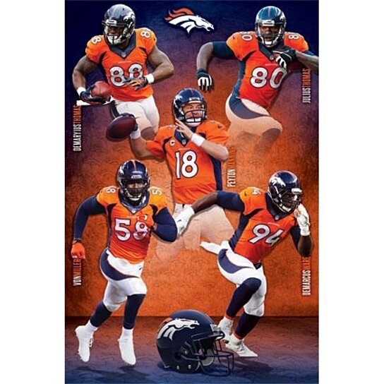 Denver Broncos - Team Poster Print - Item # VARTIARP17014