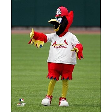 Buy Fredbird, the St. Louis Cardinals Mascot Photo Print - Item