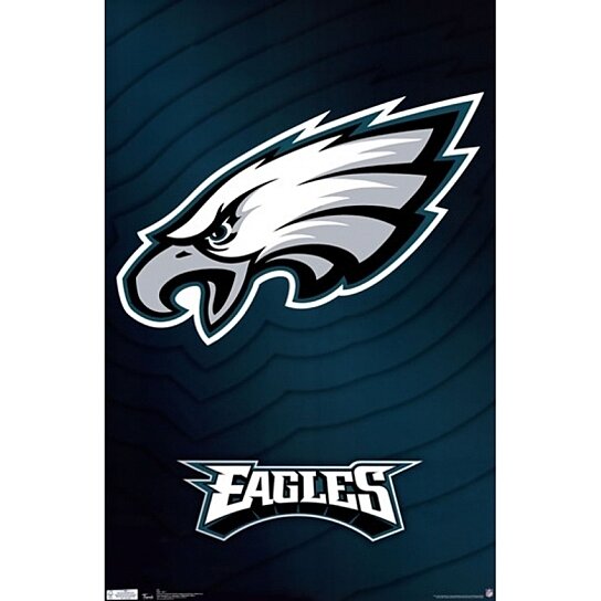 Philadelphia Eagles NFL Statement Stud Earrings - Philadelphia