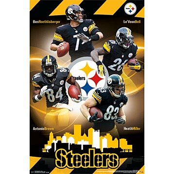 Rolled Poster Pittsburgh Steelers - Team 15 Laminated & Framed Poster Print (24 x 36)