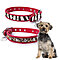 SALE! Fashionable Animal Print Small Dog Collar