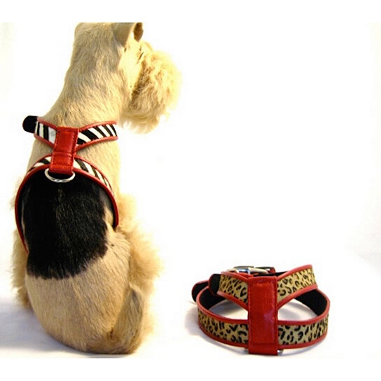 SALE! Animal Printed Small Dog Harness