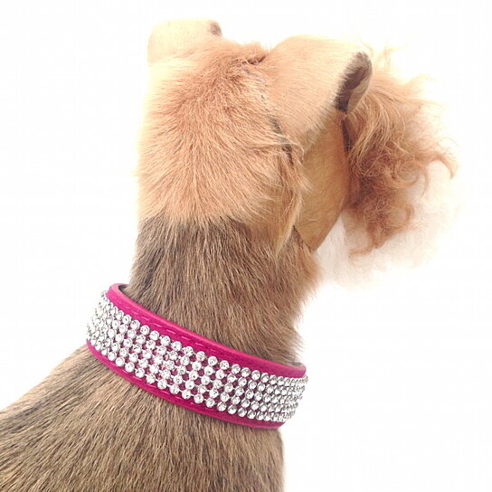 SALE* Velvet Crystal Small Dog Collar