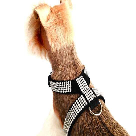 *SALE* Velvet Crystal Small Dog Harness